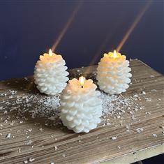 Trio of White Fir Cones