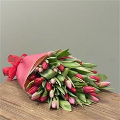 Valentines Tulips