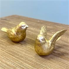 Love Birds
