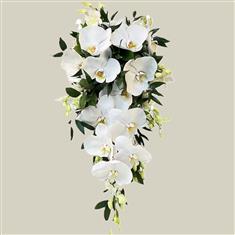 Phalaenopsis Shower Bouquet