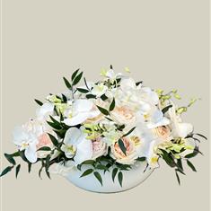 Elegance Encircled