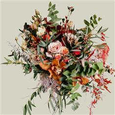 Wild Autumn Beauty