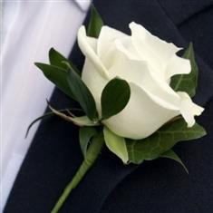 Simple Elegance
