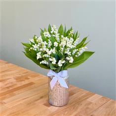 The Windsor - Lily of the Valley