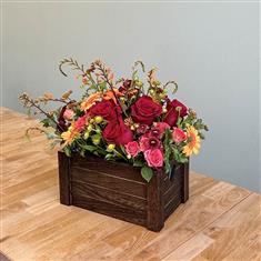 Red Sky at Night Arrangement
