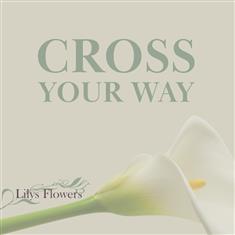 Cross - Your Way