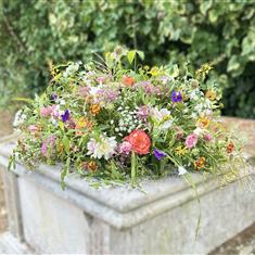 Scented Wild Garden