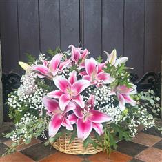 Pink Lily Basket