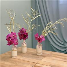 The Guilded Lustre - Limited Edition