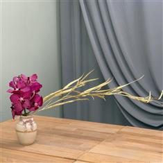 The Golden One of a Kind