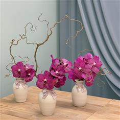 The Blush Ribbon Ceramics - Limited Edition