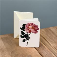 Pink Rose Greetings Card