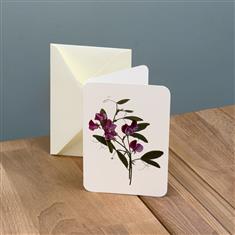 Sweetpea Greetings Card