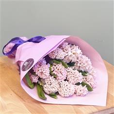 Purely Fragrant Hyacinths