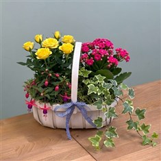 Summer Classics Trug