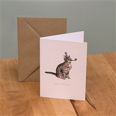 Tabby Birthday Funny Cat Greeting Card